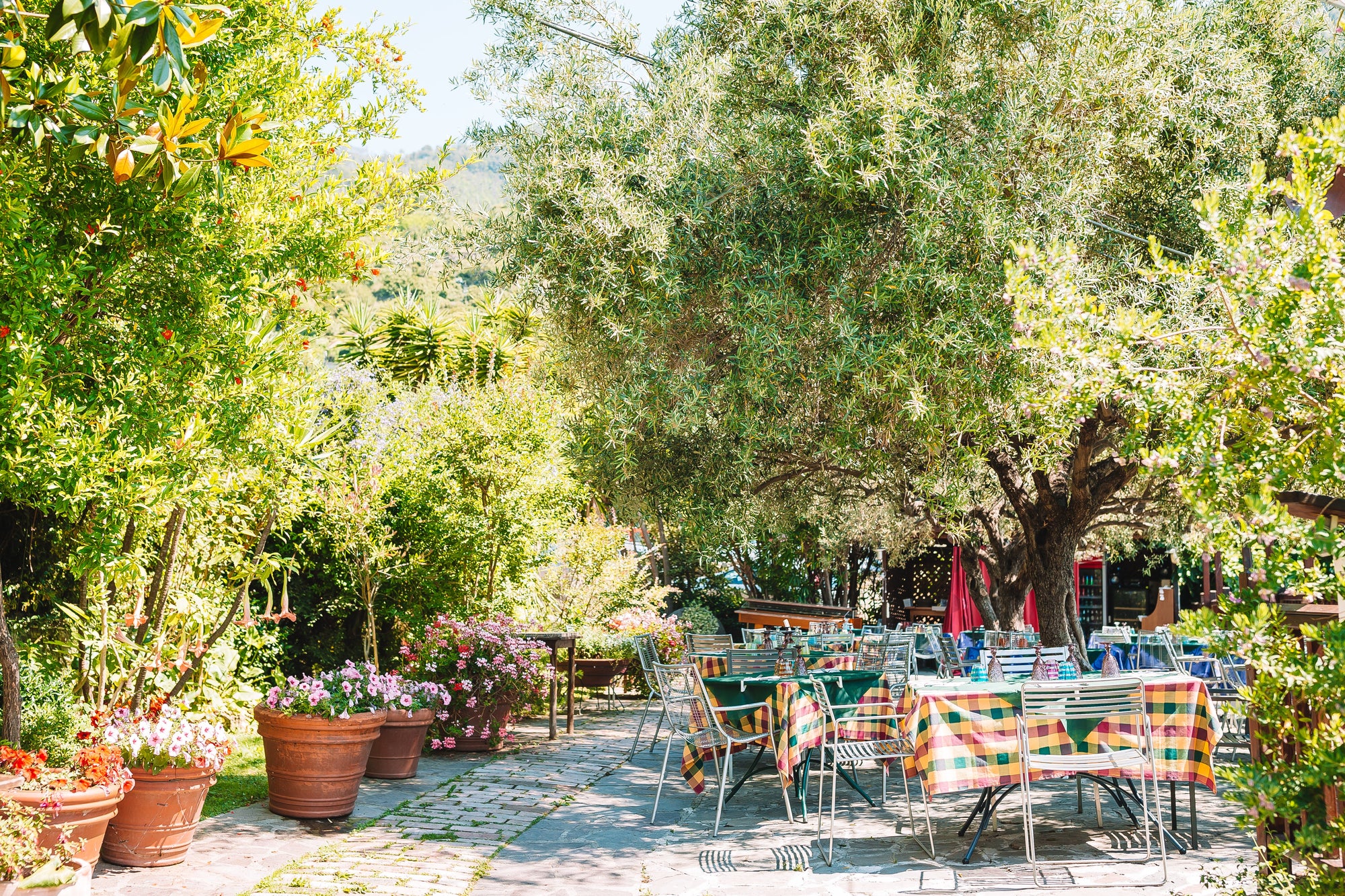 Outdoor Furniture