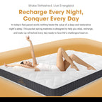 Divano Bedding 16cm Mattress Medium Firm Bonnell Spring Single 