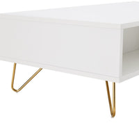 Hawea 120cm Coffee Table with Storage White, close-up of the open niche and hairpin legs