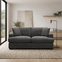 Hecate 2 Seater Fabric Sofa Lounge Dark Grey