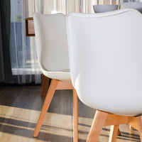 Lucian Set of 2 Dining Chairs Leather Plastic DSW Replica White